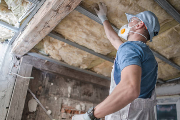 Best Geographic-Specific Insulation Services in Westmere, NY