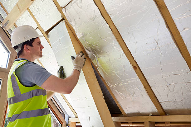 Best Residential Insulation in Westmere, NY