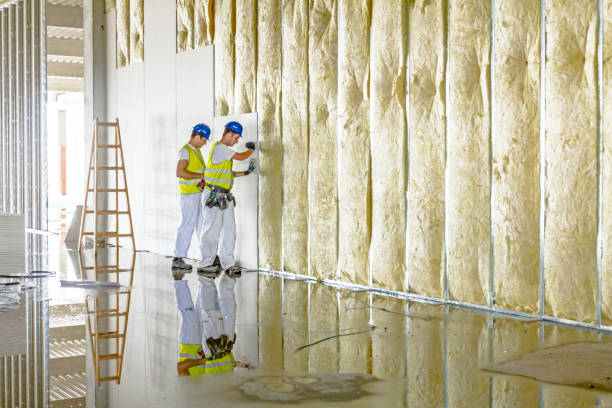 Best Blown-in Insulation in Westmere, NY
